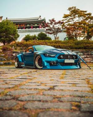 Ford Mustang GT M86 Unicorn by Clinched 2020 года 
